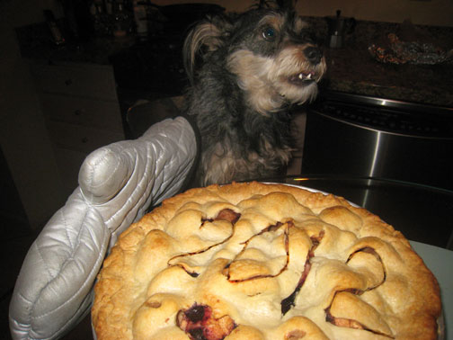 The Bearded Lady bakes her first pie of 2012