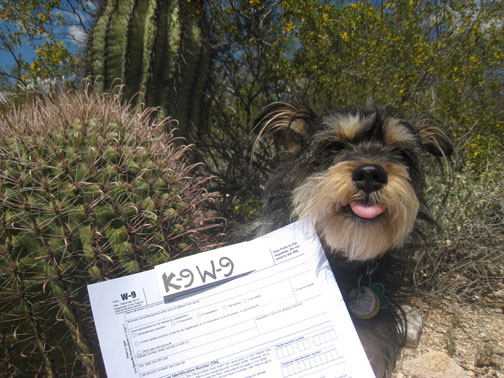 Harriette Houdini gets ready for tax season