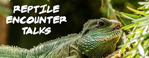 Reptile Encounter Talks 