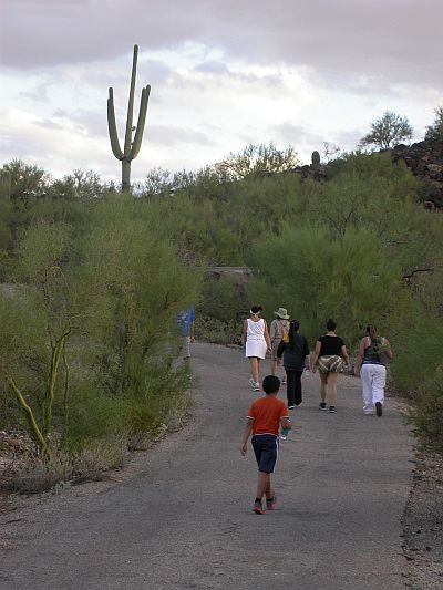 Hike Tumamoc Hill