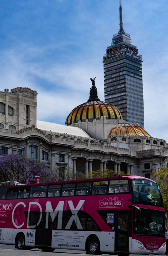 Capital Bus CDMX