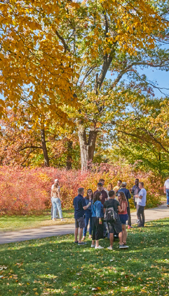 Get to know your trees at the Morton Arboretum