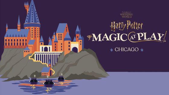 Harry Potter Magic At Play