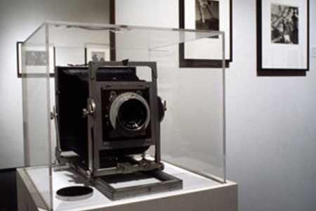 FREE-Tucson Date Ideas (You SHOULD Know) Quirky, Unique