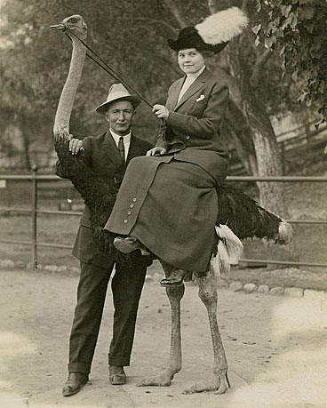 Ostrich Rider